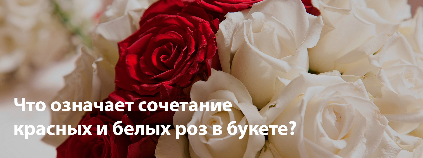 Cочетание красных и белых роз в букете